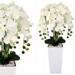 Kunstorkidee ilus orhidee potis kunstlilled orchis premium