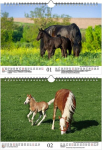 Foal Magic Din A4 kalender 2023. aastaks. Hobused ja varsad Seelenzauber