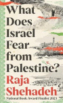 What Does Israel Fear from Palestine?, What Does Israel Fear from Palestine?