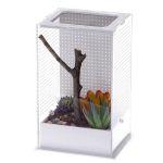 Akr&uuml;&uuml;list terraarium mantistele Repti-Zoo Mantis Box L