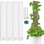 Johyzmpun taime toestus, monstera traatv&otilde;rk