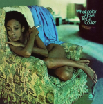 Terry Callier - What Color Is Love (vin&uuml;&uuml;lplaat, LP)