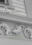 Providence Providence kirjutamise raamat - Agnieszka Taborska