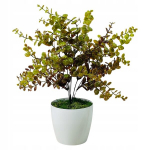 Kunstlik pukspuu potis 35cm - kodu ja kontori kaunistus