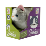 Jalutav kassipoeg Sasha