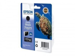 Epson T1571 Photo Black tint, 25,9 ml, Stylus Photo R3000 jaoks