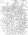 Numbritega maalimise komplekt 40x50 cm, Kassipoeg p&auml;evalilledes, Oh-art, ANG1063, 40x50 cm