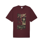 PUMA meeste vabaaja T-s&auml;rk PUMA GRAPHIC PUMA SPORTSWEAR Relaxed Tee Rubby - 63211696, punane, S