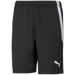 Puma teamLIGA meeste mustad p&uuml;ksid 704924 03