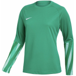 Nike Dri-Fit Park V Stadium naiste s&auml;rk, roheline HV8316 324
