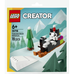 LEGO&reg; Creator CATACLAWSI LUMESEIKLUS 30718
