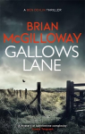 Gallows Lane: An ex con and drug violence collide in the borderlands of Ireland...