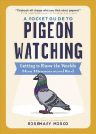 Pocket Guide to Pigeon Watching: Getting to Know the World's Most Misunderstood Bird