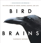 Bird Brains: The Intelligence of Crows, Ravens, Magpies, and Jays New edition
