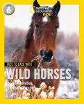 Face to Face with Wild Horses: Level 6