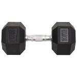 vidaXL hantlid 2 tk, 20 kg, malm