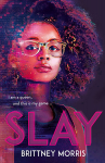 SLAY : the Black Panther-inspired novel about virtual reality