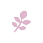 Dekoratiivne augustaja, Oksake, 16 mm