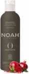 &Scaron;ampoon sagedaseks pesuks Noah Origins, 250 ml