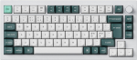 Keychron klaviatuur Q1 HE 75% mehaaniline, Gateron Double-Rail l&uuml;litid, valge
