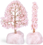 Pfotenolymp Jade kivist bonsai puu