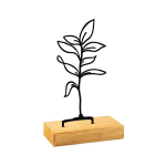 Kuju Sapling, 1 tk.