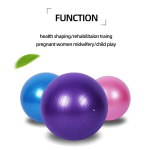 Fitness PVC joogapall - 75cm sinine