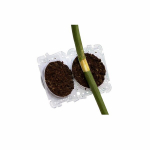 Taime paljunduskomplekt, 10 tk