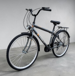 Linnajalgratas Strow 28", hall