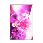 Asir vaip Eexfab425 120x180 cm