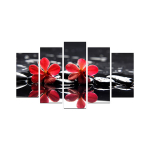 Viieosaline reproduktsioon 5M-10