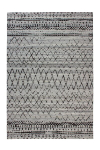 Vaip Phoenix 113, 120x170 cm, erinevates v&auml;rvitoonides