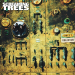 Screaming Trees - Sweet Oblivion (vin&uuml;&uuml;lplaat, LP)
