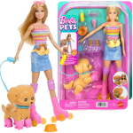 Interaktiivne nuku ja lemmiklooma komplekt Barbie Pets Skate & Run Mattel, JMJ44
