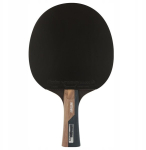 Lauatennise reket Butterfly Timo Boll Graphite