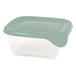 Toidukarp kandiline 0,25L Fresh&Go roheline