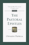 Pastoral Epistles: An Introduction And Commentary