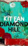 Diamond Hill: Totally unputdownable and evocative literary fiction
