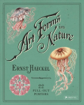 Ernst Haeckel: Art Forms in Nature: 22 Pull-Out Posters: 22 Pull-Out Posters