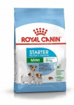 Royal Canin Mini Starter kuivtoit kutsikatele, 8 kg