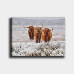 Reproduktsioon l&otilde;uendil M&auml;gismaa