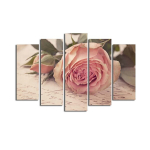 Viieosaline maal Roos