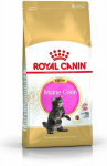 Royal Canin Meini t&otilde;ugu kassipoegadele, 4 kg