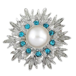 Pross