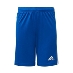 Poiste l&uuml;hikesed p&uuml;ksid, Adidas Squadra 21 Jr GK9156, sinist v&auml;rvi