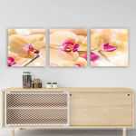 Kolmeosaline reproduktsioon Orhidee