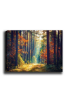 Reproduktsioon S&uuml;giseses metsas