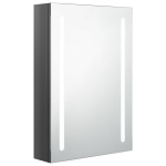 vidaXL LED vannitoa peegelkapp, s&auml;ravhall, 50 x 13 x 70 cm