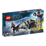 75951 LEGO&reg; Harry Potter Grindelwaldi p&otilde;genemine