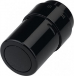 Termostaat Danfoss Living design (RAX), Vedelik, RA Black